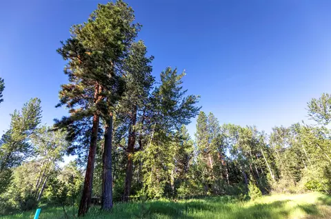279 Conner Cutoff Rd, Conner, MT 59827 photo 23