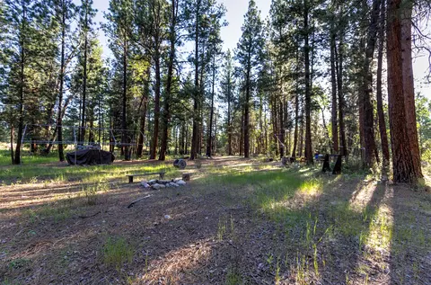 279 Conner Cutoff Rd, Conner, MT 59827 photo 19