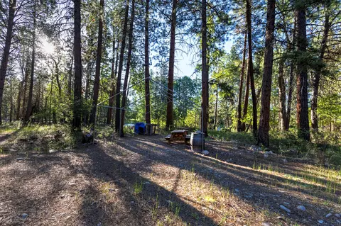 279 Conner Cutoff Rd, Conner, MT 59827 photo 20