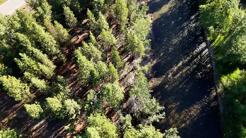279 Conner Cutoff Rd, Conner, MT 59827 photo 28