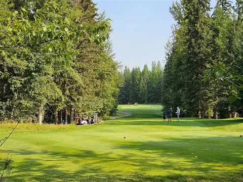 249 Pine Valley Loop, Columbia Falls, MT 59912 photo 1