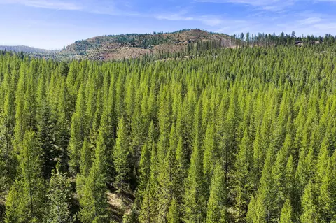 Nhn Mcginnis Meadows - Fishtrap Road Section 9, Libby, MT 59923