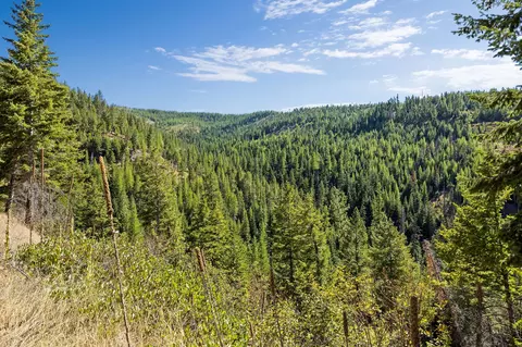 Nhn Mcginnis Meadows - Bayhorse Road Section 7, Libby, MT 59923