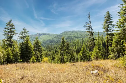 Nhn Whitney Lake Road, Libby, MT 59923