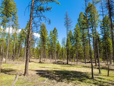 2 Camp Tuffit Road, Proctor, MT 59929 photo 5