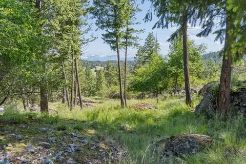 175 Aerie Pl, Bigfork, MT 59911 photo 3