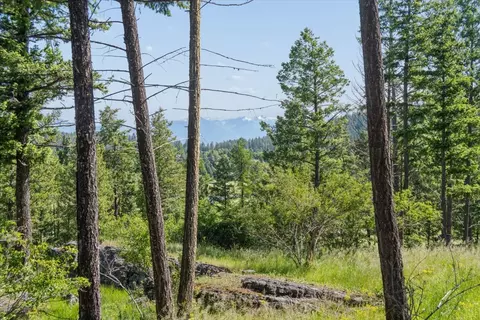 175 Aerie Pl, Bigfork, MT 59911 photo 2