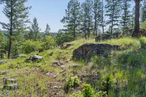 175 Aerie Pl, Bigfork, MT 59911 photo 15