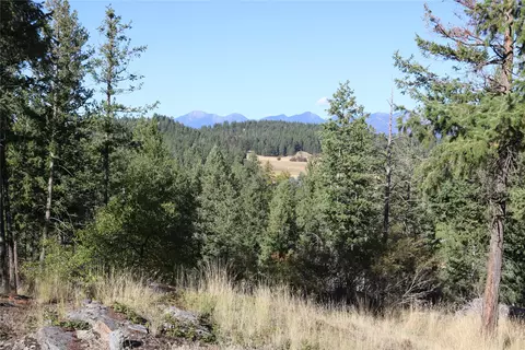 175 Aerie Pl, Bigfork, MT 59911