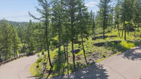 175 Aerie Pl, Bigfork, MT 59911 photo 4