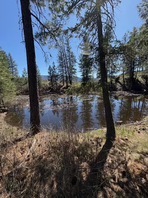 Nkn West Fork Combest Creek Road, Plains, MT 59859