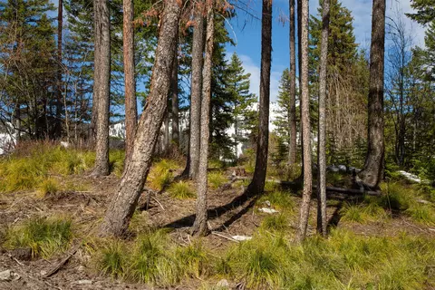 128 Ridge Run Dr, Whitefish, MT 59937 photo 31