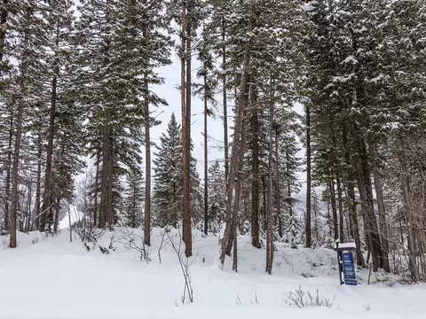 128 Ridge Run Dr, Whitefish, MT 59937 photo 55