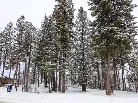 128 Ridge Run Dr, Whitefish, MT 59937 photo 50