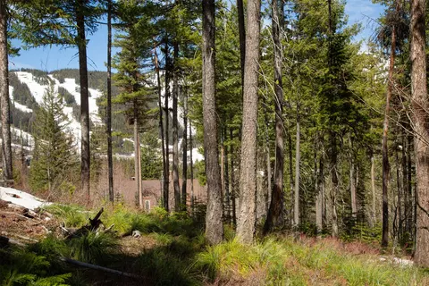 128 Ridge Run Dr, Whitefish, MT 59937 photo 33