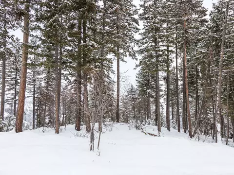 128 Ridge Run Dr, Whitefish, MT 59937 photo 54