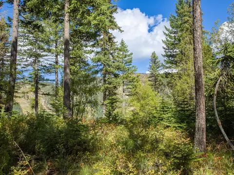 128 Ridge Run Dr, Whitefish, MT 59937 photo 3