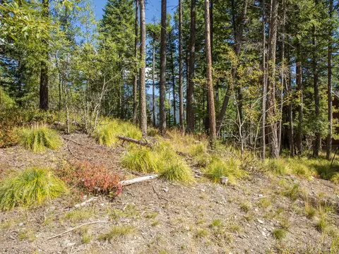128 Ridge Run Dr, Whitefish, MT 59937 photo 5