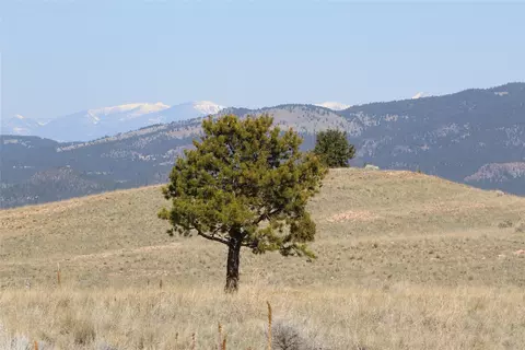 tbd Tbd, Butte, MT 59701