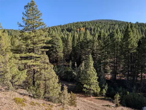White Horse Lode Tbd, Philipsburg, MT 59858