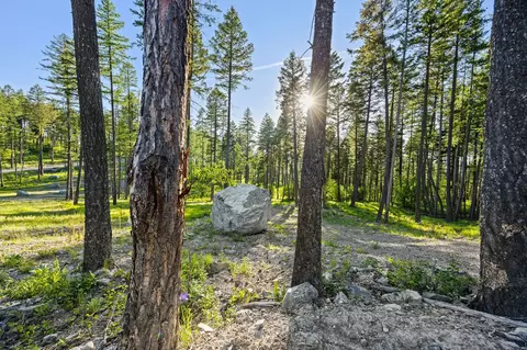 74 Trails End Ct, Bigfork, MT 59911 photo 27