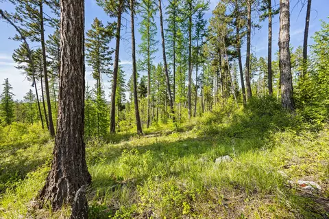 162 Trading Post Trl, Bigfork, MT 59911 photo 27