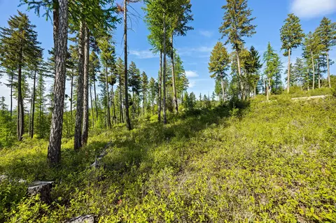 148 Trading Post Trl, Bigfork, MT 59911 photo 31