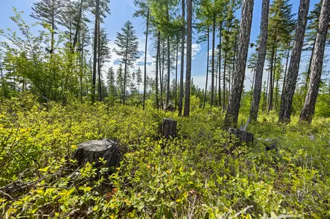 148 Trading Post Trl, Bigfork, MT 59911 photo 30