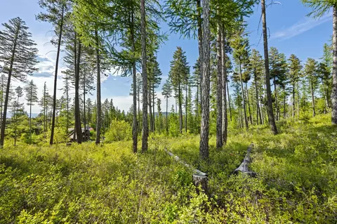 148 Trading Post Trl, Bigfork, MT 59911 photo 32