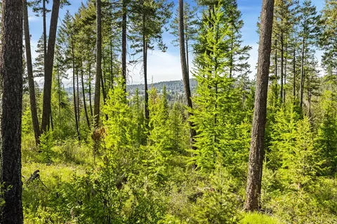 186 Trading Post Trl, Bigfork, MT 59911 photo 26