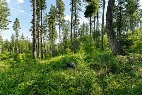 222 Trading Post Trl, Bigfork, MT 59911 photo 27