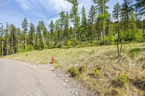 258 Trading Post Trl, Bigfork, MT 59911 photo 29