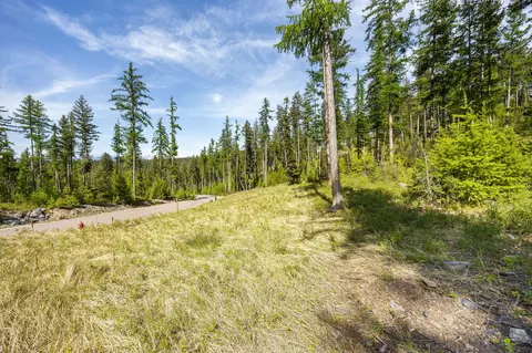 258 Trading Post Trl, Bigfork, MT 59911 photo 28