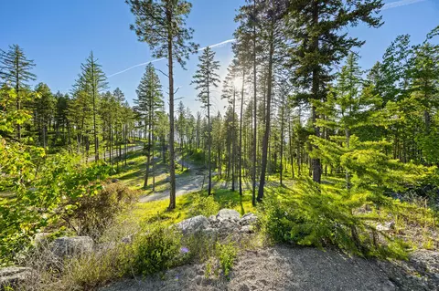 62 Trails End Ct, Bigfork, MT 59911 photo 29
