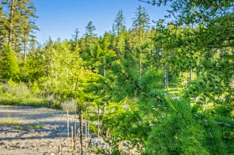 62 Trails End Ct, Bigfork, MT 59911 photo 28
