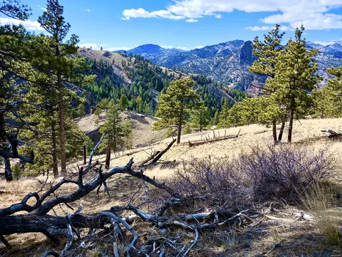 tbd Novak Creek Ln, Cascade, MT 59421