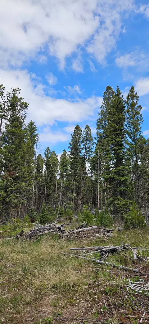 000 Bear Gulch Rd, Lincoln, MT 59639