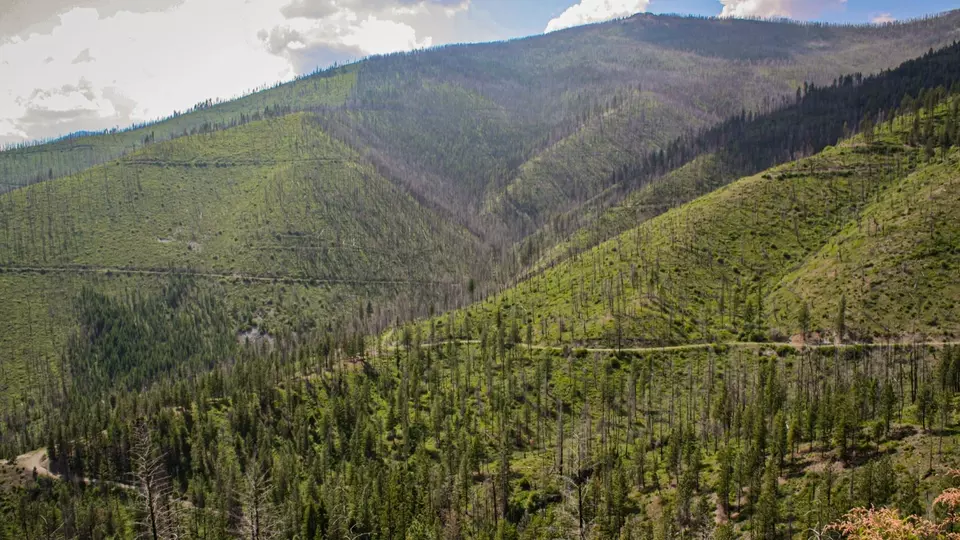  Nhn Swamp Creek Hunting Ranch, Plains, MT 59859 photo 3