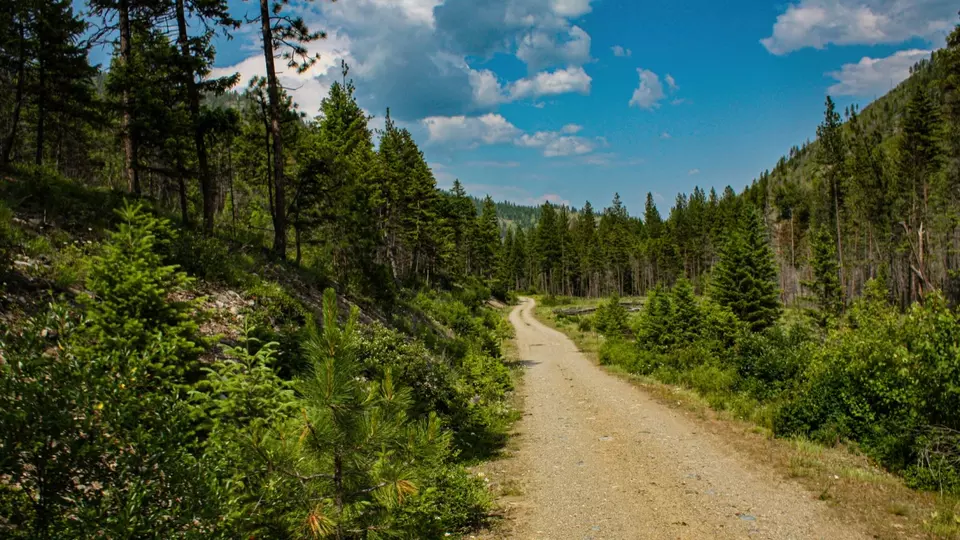  Nhn Swamp Creek Hunting Ranch, Plains, MT 59859 photo 9