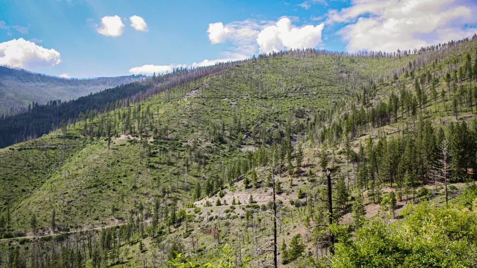  Nhn Swamp Creek Hunting Ranch, Plains, MT 59859 photo 7