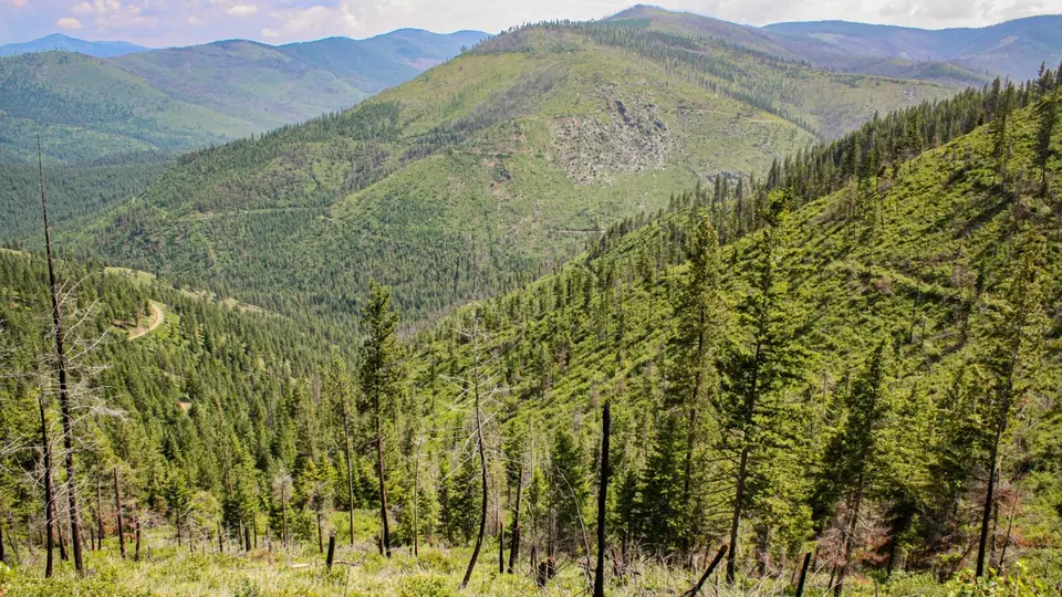  Nhn Swamp Creek Hunting Ranch, Plains, MT 59859 photo 1