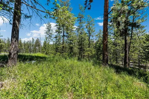 394 Windsor Ct, Bigfork, MT 59911 photo 5