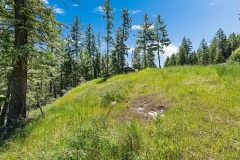 394 Windsor Ct, Bigfork, MT 59911 photo 13