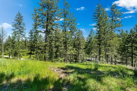394 Windsor Ct, Bigfork, MT 59911