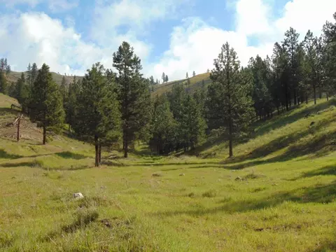27235 Lazy Springs Rd, Clinton, MT 59825
