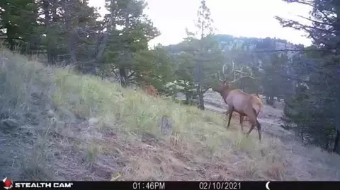 Nhn Outer Loop Road, Cascade, MT 59421 photo 38