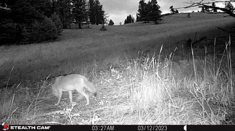 Nhn Outer Loop Road, Cascade, MT 59421 photo 37