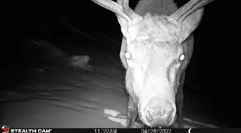 Nhn Outer Loop Road, Cascade, MT 59421 photo 26