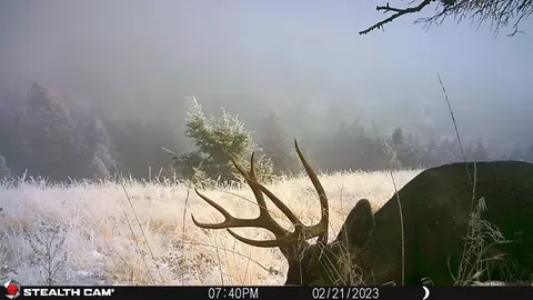 Nhn Outer Loop Road, Cascade, MT 59421 photo 41