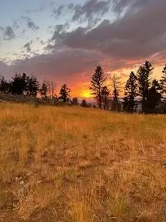 Nhn Outer Loop Road, Cascade, MT 59421 photo 5